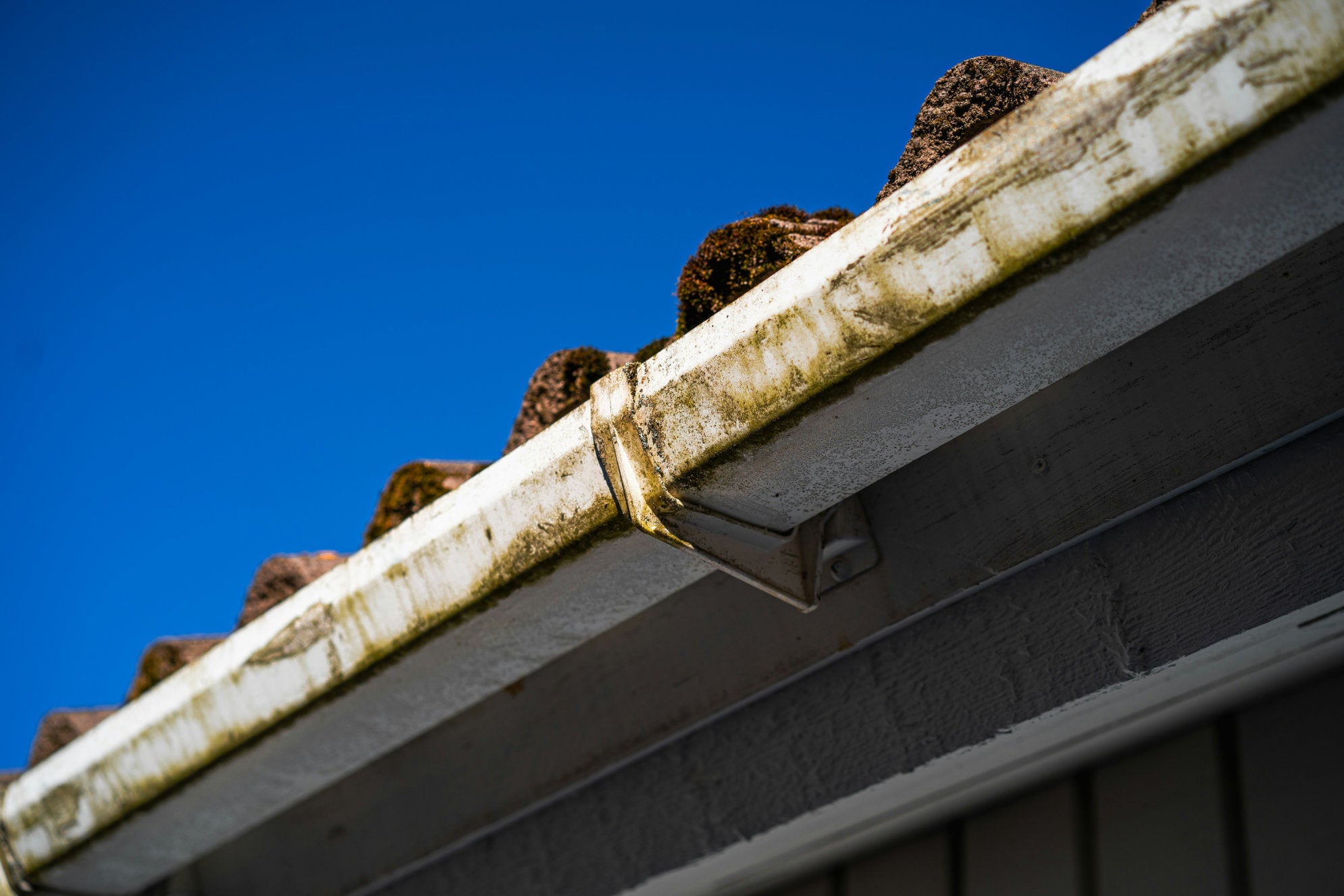 How to Keep Yourself Safe While Cleaning Gutters