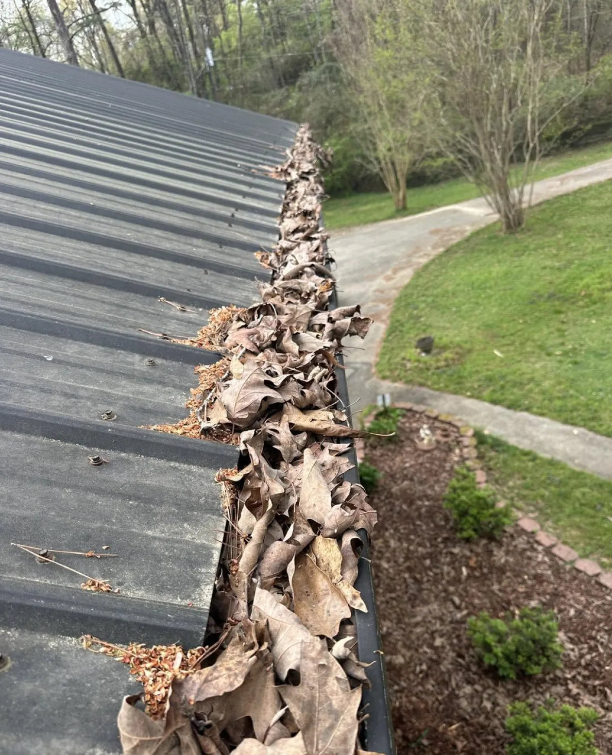 Gutter clogged with wet leaves before cleaning